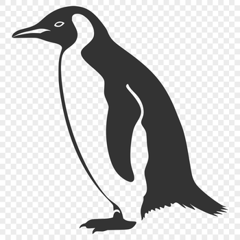 A full body illustration of a penguin, an animal native to the sea.