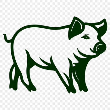 Full body illustration of a standing pig, suitable for vector design projects.