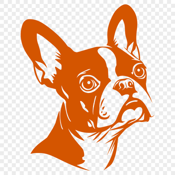 Boston Terrier dog breed portrait vector illustration with high-quality design suitable for cutting machine stencils.