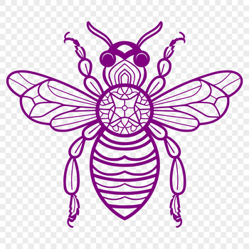 A detailed illustration of a bee in full body, suitable for various design applications.