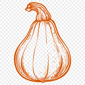 A detailed vector illustration of a yellow summer squash with green stem and leaves.