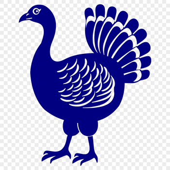 A detailed illustration of a farm animal turkey in full body pose.