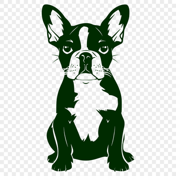 A sitting Boston Terrier depicted in a simple, scalable vector graphic illustration.