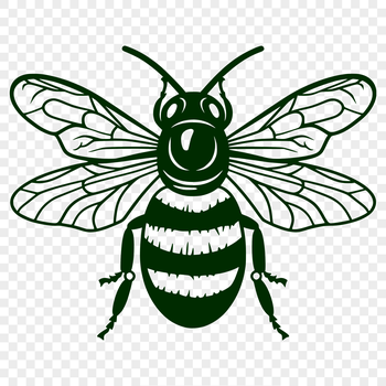 An illustration of a full-body bee insect with details that can be scaled and customized.