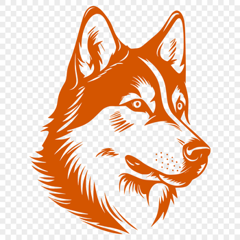A close-up of a Siberian Husky's head, with its distinctive markings and fur texture.