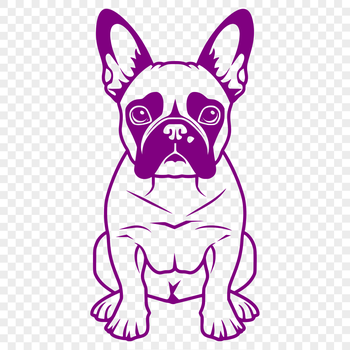 A Boston Terrier dog sitting in a relaxed position, shown as a vector image.