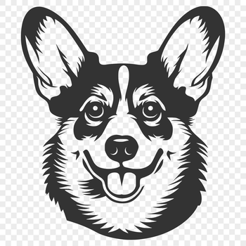 A vector illustration of a small to medium-sized dog with a sturdy build and fluffy coat.
