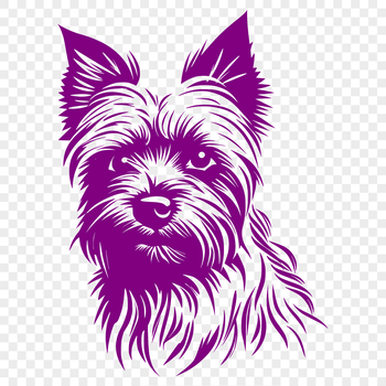 A small breed dog with a distinctive head shape, popular as a pet animal.