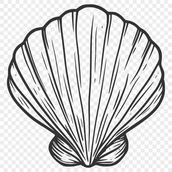A digital illustration of a real-world seashell, suitable for various designs and crafts.