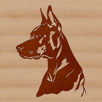 A detailed illustration of a Doberman Pinscher's head, suitable for use as clip art or vector design.