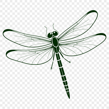 An SVG file containing the design of a dragonfly with intricate details and fine lines.