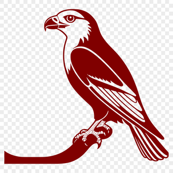 A sleek bird of prey with sharp talons and wings outstretched in flight.