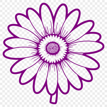 An isolated, high-quality SVG design of a daisy blossom in bloom.