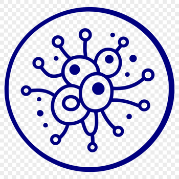 Illustration of a single bacterium with detailed cellular structure.