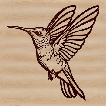 Close-up of a hummingbird's wings and body, designed as a digital clip art.