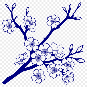 A delicate cherry blossom flower in bloom, ready for vector art and design.