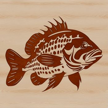 Illustration of a wild Crappie fish