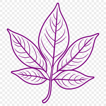 A detailed illustration of a single leaf with intricate design elements.