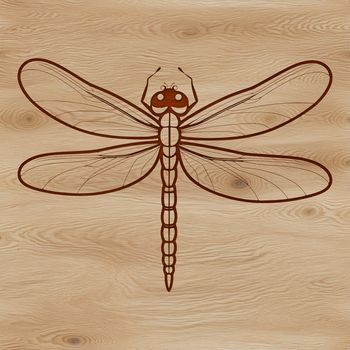 Close-up illustration of a dragonfly's body and wings for vector design purposes.