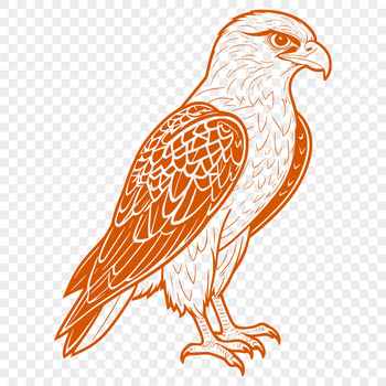 A falcon in flight, depicted as a detailed vector illustration suitable for commercial or personal use.