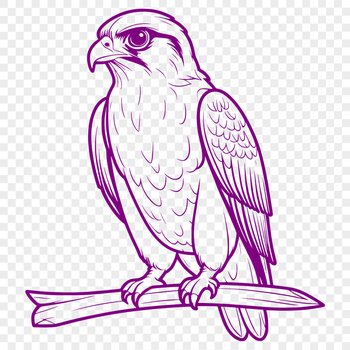 Falcon bird in flight, illustrated vector art.