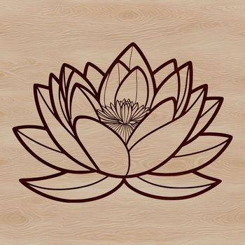 Lotus flower illustration, a stylized representation of the sacred plant in various cultures.