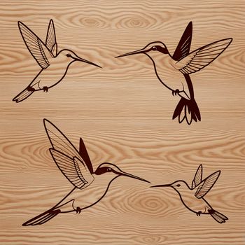 Illustration of a hummingbird in flight, created using a digital drawing tool with bold lines and vibrant colors.