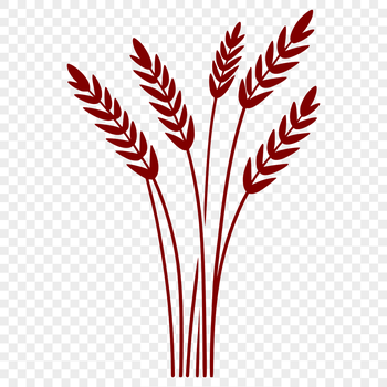 Vector graphic representation of a single wheat stalk with detailed lines and shapes.