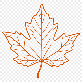 A simple vector illustration of a single leaf with detailed veins and edges.