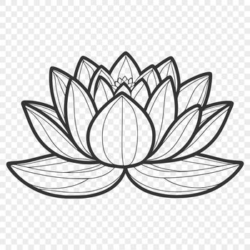 A highly detailed, stylized illustration of the sacred lotus flower in various stages of bloom.