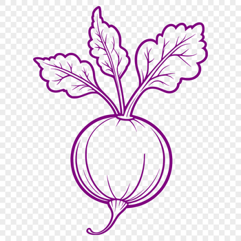 A detailed illustration of a radish with a simple silhouette shape.