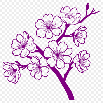 A stylized illustration of a cherry blossom in bloom, ideal for vector art designs.