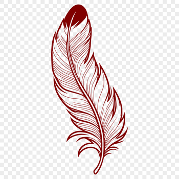 A detailed illustration of a single feather with varying lengths and textures.