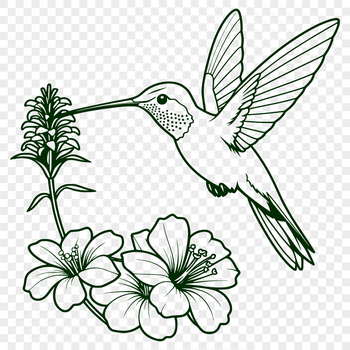An illustration of a hummingbird perched on a branch, featuring intricate details suitable for vector design applications.