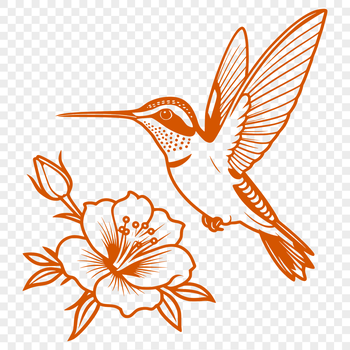 An intricately detailed vector graphic representation of a hummingbird, suitable for various design applications.