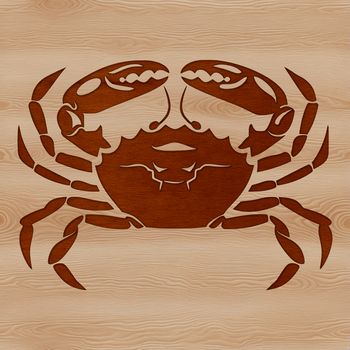 A detailed illustration of a wild animal, specifically a crab, created as a vector graphic.