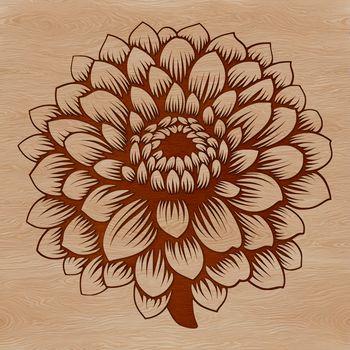 A detailed illustration of a single chrysanthemum flower with layered petals in various colors.