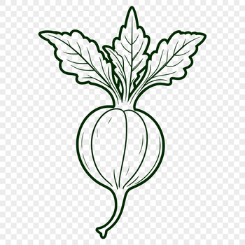 A simple vector illustration of a radish, suitable for commercial or personal use.
