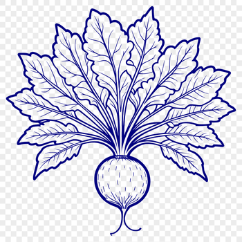 A detailed vector illustration of a single radish root vegetable.