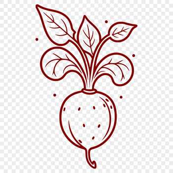 Radish illustration for personal or commercial use in various cutting machines.