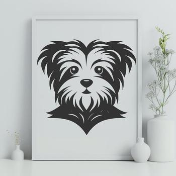 A small, adorable dog breed known as a Morkie, with a sweet expression on its face.