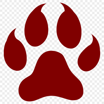 A collection of animal paw prints in various shapes and sizes, suitable for vector design.