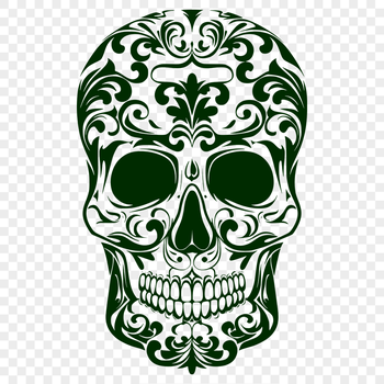 Ornate Skull Drawing