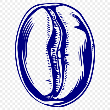 An illustration of a single coffee bean with details of its texture and shape.
