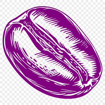 A stylized illustration of a single coffee bean, suitable for vector design.