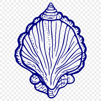 Free Seashell In SVG - Free Download