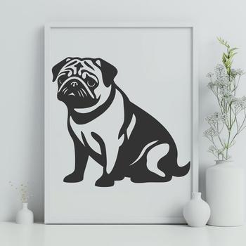 Stunning Pug In PNG Format