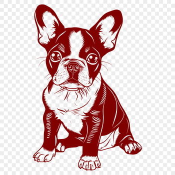 A digital illustration of a full-body Boston Terrier sitting comfortably.