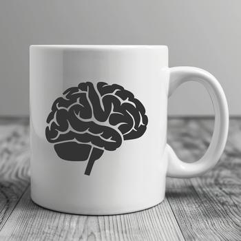 High-quality SVG diagram of the brain's internal structures and layout.