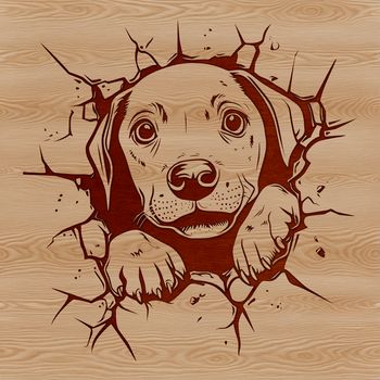 A Weimaraner breed dog peeking out from behind a fence.